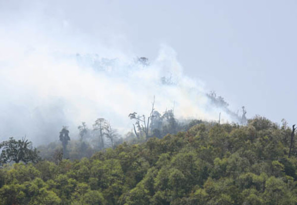 Cháy rừng ở vườn Quốc gia Hoàng Liên Sơn
