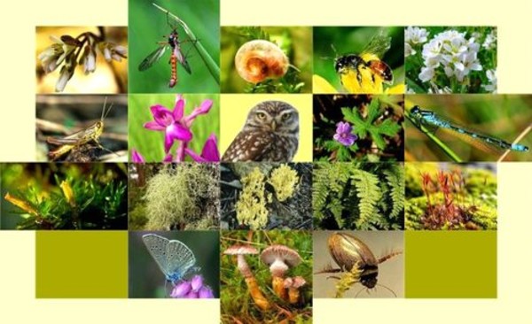Bộ TN&MT kêu gọi hưởng ứng Ngày quốc tế đa dạng sinh học 2013