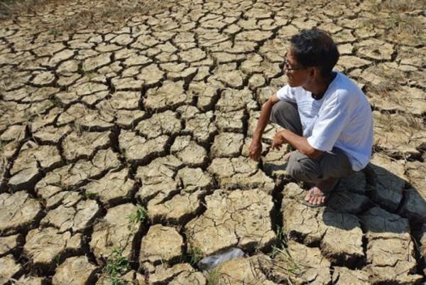 Hạn mặn lịch sử 2016: Mê Kông chặn dòng, thế mạnh Việt Nam cạn sức
