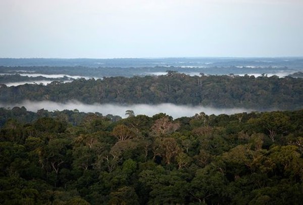 Rừng Amazon với Cách mạng công nghiệp 4.0: Thiên nhiên – nơi cất giữ chìa khóa của đổi mới sáng tạo