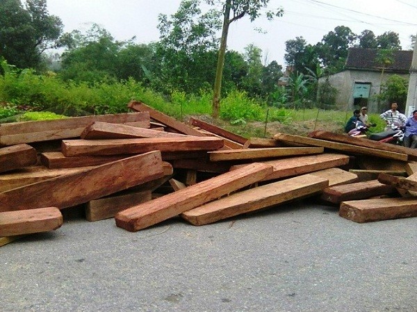 Quảng Bình: Bắt giữ xe tải vận chuyển gần 20m3 gỗ lậu