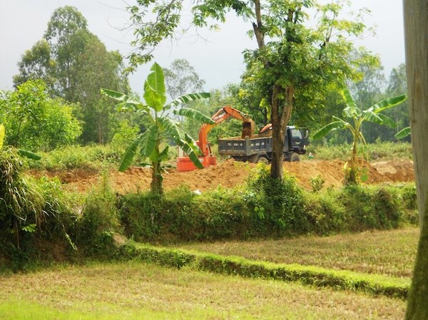 Bình Định: Xã Cát Lâm tự ý cho khai thác đất
