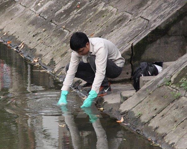 Cá chết trên sông Vĩnh Trà là do ô nhiễm nguồn nước