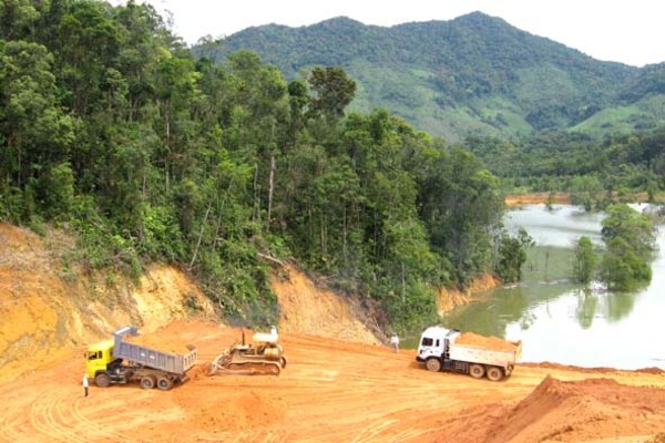 Quảng Ngãi: Phát hiện 43 vụ vi phạm về bảo vệ và phát triển rừng