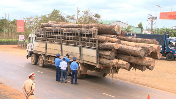 Khiếp đảm xe chở gỗ quá tải ở Gia Lai