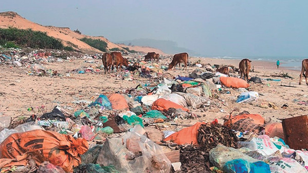 Bãi biển thành… bãi rác