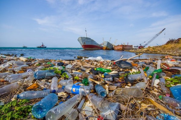 Dòng hải lưu đem rác thải đến khiến Bắc Cực ô nhiễm nặng
