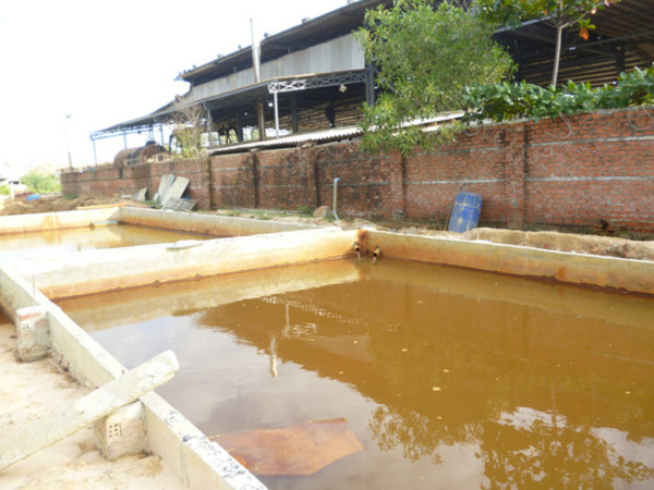 Đà Nẵng: Cá chết trắng đồng là do nhà máy mạ kẽm xả thải