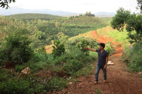 Đắk Nông: 9 cán bộ huyện bị kỷ luật vì cấp sổ đỏ trên đất rừng