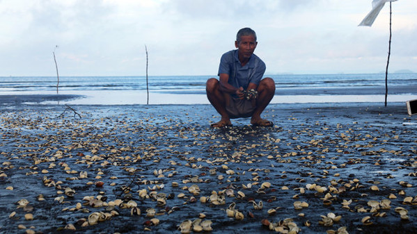 Kiên Giang: Phát hiện hóa chất công nghiệp ở chỗ cá, nghêu chết