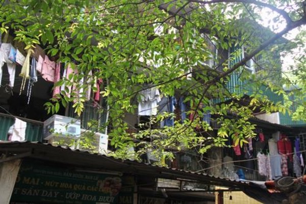 Hà Nội: Cuộc sống bên trong những căn hộ chung cư cũ