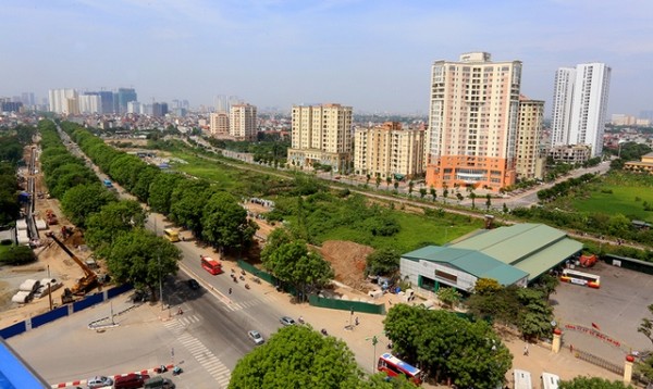 1.300 cây xanh trước ngày chặt hạ để làm đường ở Hà Nội