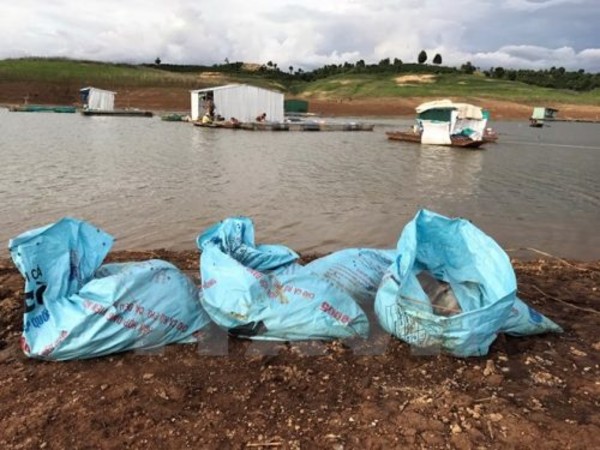 Kon Tum: Không có độc tố trong nước tại khu vực cá nuôi bị chết