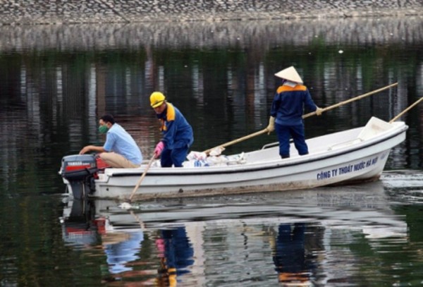 Cá chết tại hồ Hoàng Cầu do thời tiết thay đổi