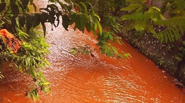 Quảng Ninh: Nước suối chuyển màu đỏ giữa Hạ Long
