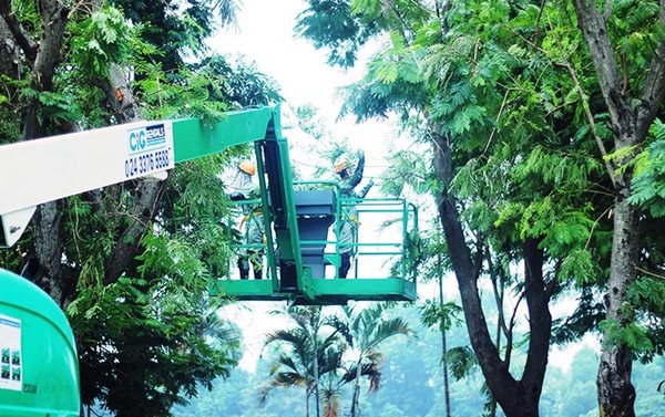Ảnh: Công tác chuẩn bị chặt hạ, di dời 130 cây xanh đường Kim Mã