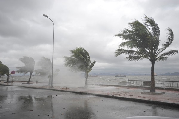Bão số 10 đổ bộ: Báo cáo nhanh từ BCH PCL bão Hà Tĩnh
