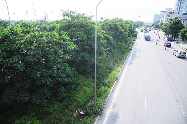 Hà Nội: Dùng máy xúc 'cắt” cỏ dại um tùm trên đại lộ Thăng Long