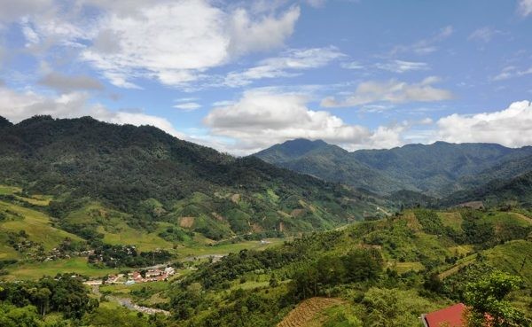 Đà Nẵng: Kiểm kê rừng để bảo vệ rừng
