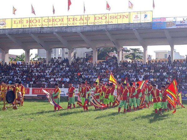 Hàng ngàn người tham dự Lễ hội chọi trâu Đồ Sơn năm 2017