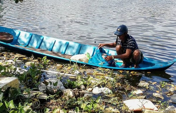 Cà Mau: Cá chết chưa rõ nguyên nhân ở hồ điều hòa