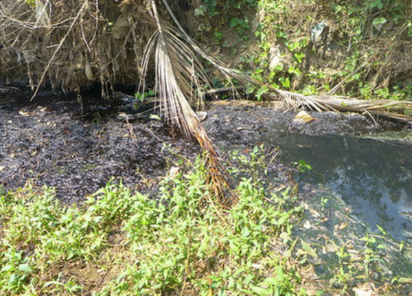 Hàng trăm lít dầu chảy ra suối ở Bình Phước gây ô nhiễm nghiêm trọng