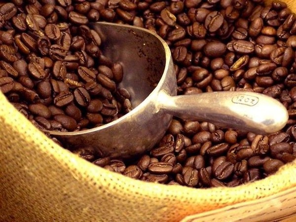 Giá cà phê hôm nay (10/10) quay đầu giảm nhẹ, giá hồ tiêu lao đao