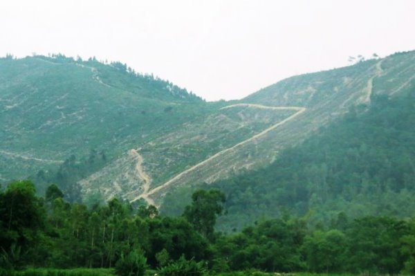 Vĩnh Phúc: Rà soát để điều chỉnh quy hoạch rừng phòng hộ núi Ngang