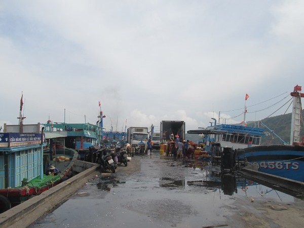 Bình Định: Ô nhiễm môi trường tại Cảng cá Quy Nhơn