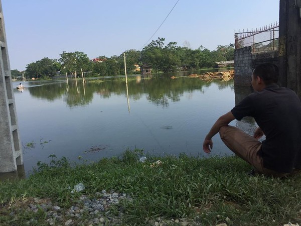 Hà Nội: Ruộng ngập trắng, nhiều hộ “phá sản” sau trận lũ lịch sử