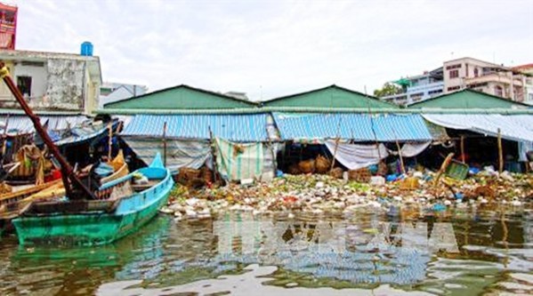 Cà Mau: Phạt nhiều doanh nghiệp chế biến thủy sản vi phạm môi trường