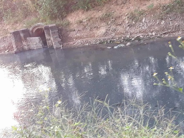 Cụm CN Di Trạch: Nhà máy “đua nhau” xả nước thải ra môi trường