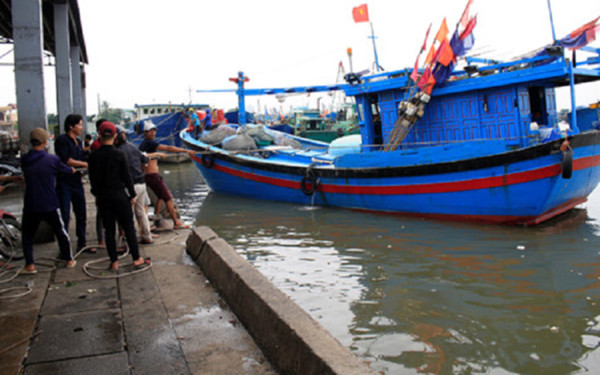 Bão số 12 giật cấp 15 sắp đổ bộ: 22 tàu cá ở Bình Định vẫn lênh đênh