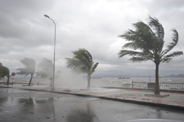 Dự báo thời tiết ngày 10/11: Áp thấp nhiệt đới có thể mạnh thành bão