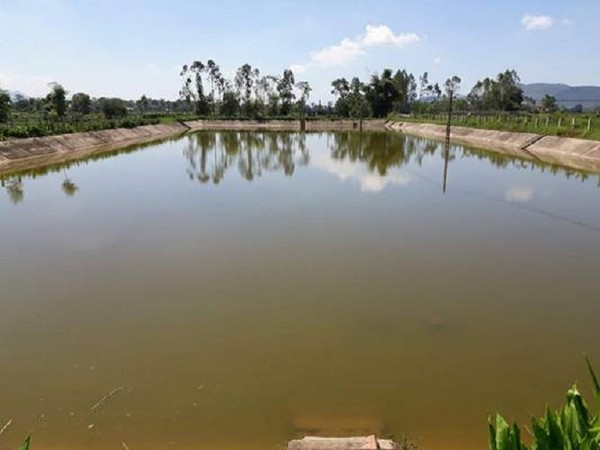Tin môi trường ngày 13/11: Nghệ An: Hàng loạt nhà máy nước bỏ hoang
