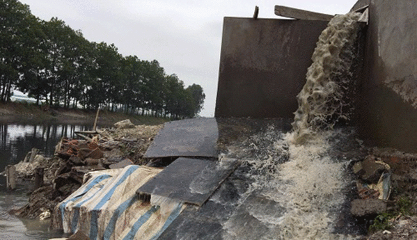 Yêu cầu xử nghiêm vụ xả trộm nước thải ra kênh Bắc Hưng Hải