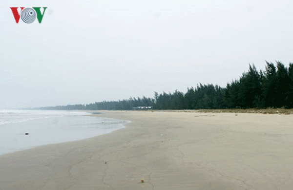 Quảng Ngãi lại cho phép nhận chìm 62.000 m3 bùn, cát thải xuống biển