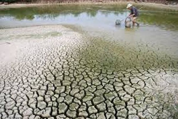 Việt Nam đối mặt với biến đổi khí hậu như thế nào?