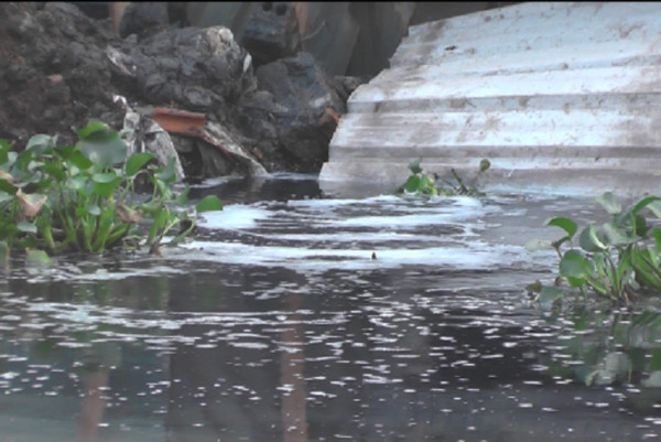 Tin môi trường 30/11: Doanh nghiệp xả thải bức tử sông Cầu Lường