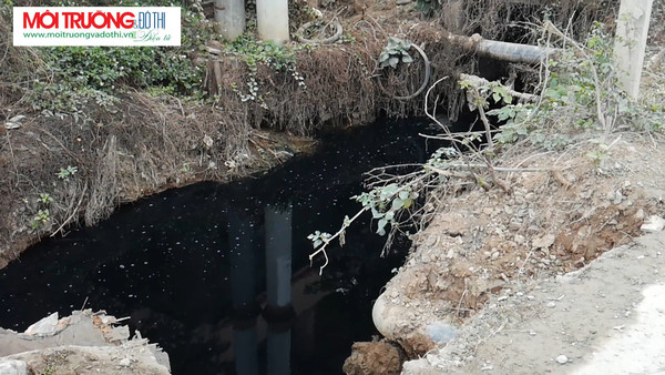 Nghi vấn nước thải cụm công nghiệp gây ô nhiễm kênh Thanh Niên