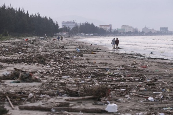Tin môi trường ngày 14/12: Gần 1 tấn rác thải bủa vây biển Đà Nẵng