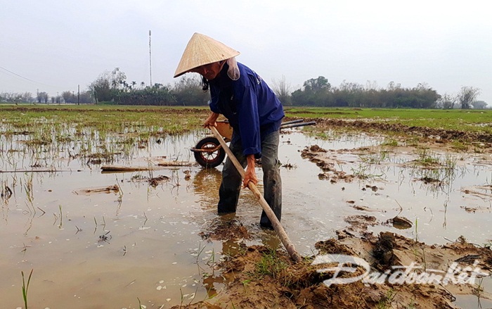Thừa Thiên - Huế: Ruộng bị bồi lấp người dân lo lắng trễ vụ