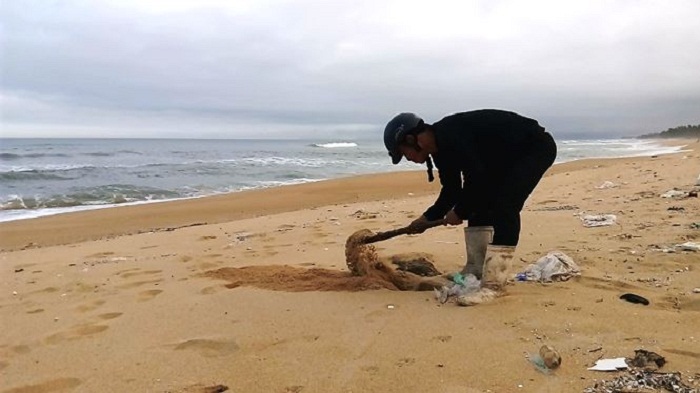 Thừa Thiên - Huế: Xuất hiện nhiều túi thịt thối trôi dạt bờ biển