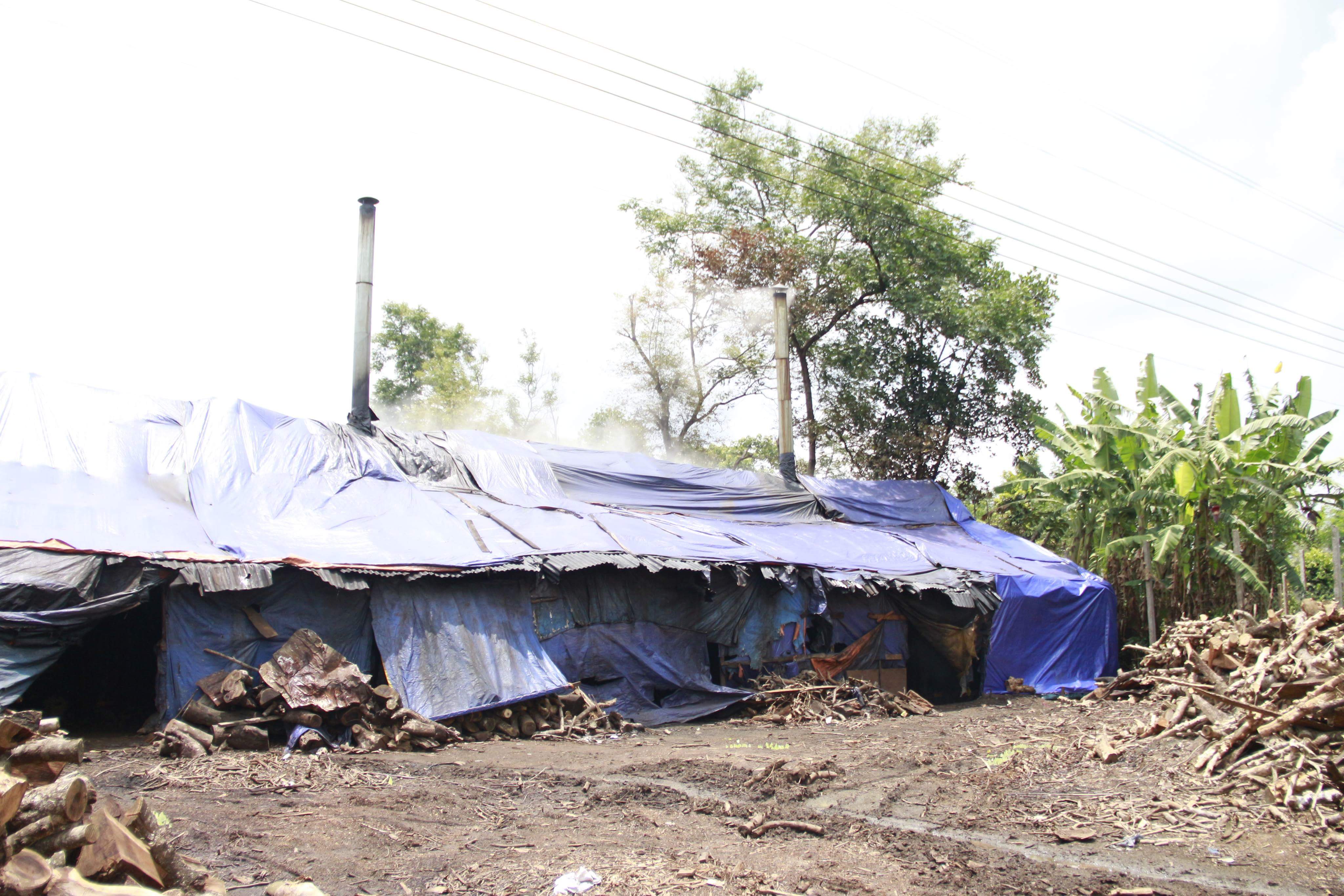 Đắk Lắk: Phá bỏ 236 lò than thổ phỉ