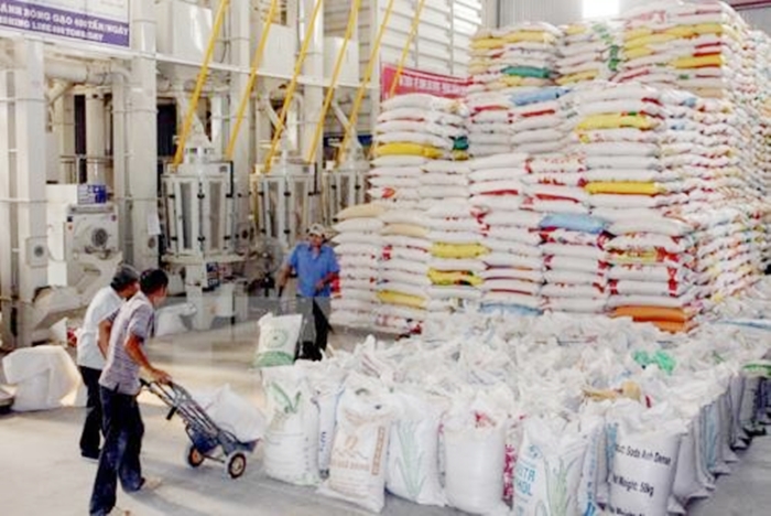 Indonesia có kế hoạch nhập khẩu gạo của Việt Nam