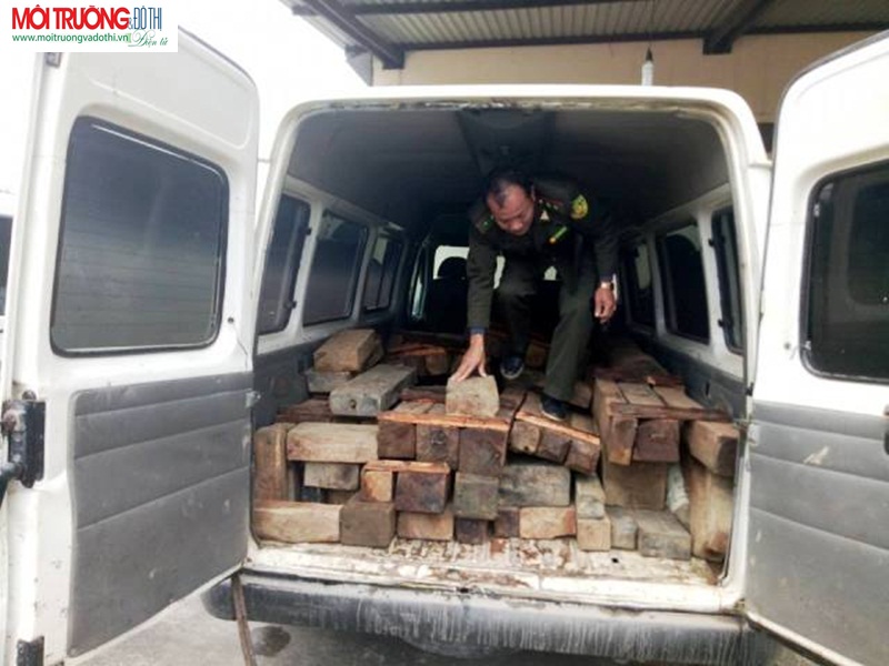 Hà Tĩnh: Bắt giữ xe 16 chỗ chất đầy gỗ lim