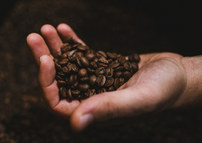 Giá nông sản hôm nay 16/1: Giá cà phê chưa thể bật lên 37.000 đồng