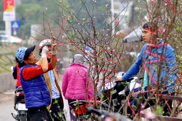 Thời tiết dịp Tết Nguyên đán: Miền Bắc rét, Nam Bộ mưa trái mùa