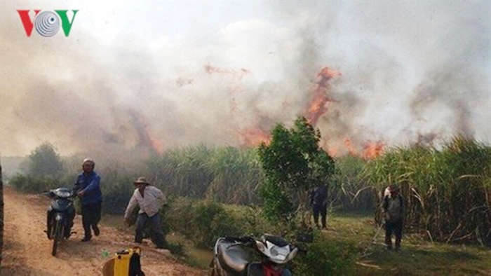Lại cháy hơn 35 ha mía đang thu hoạch ở ​Đắk Lắk