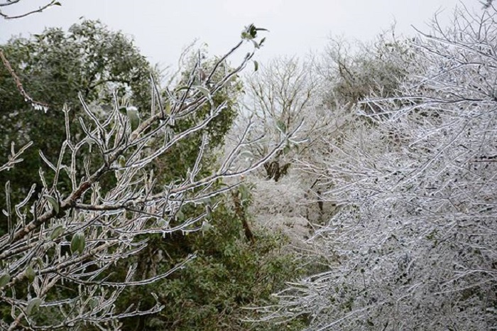 Thời tiết ngày 29/1: Bắc Bộ rét đậm, rét hại, vùng núi có băng giá